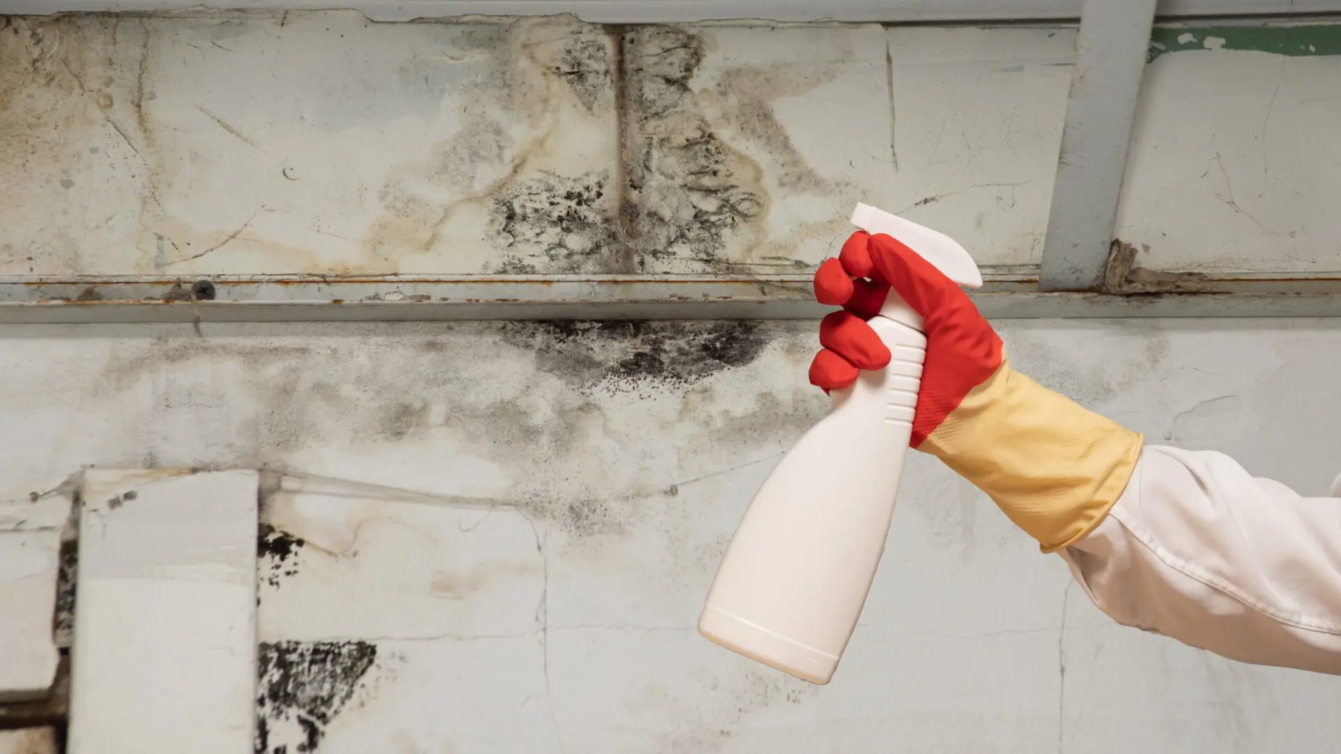 Common Factors Leading to Mould